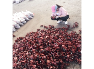 功德脚手架扣件厂每天进行的抽检任务