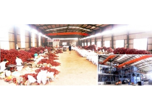 为什么功德建筑扣件17年备受关注